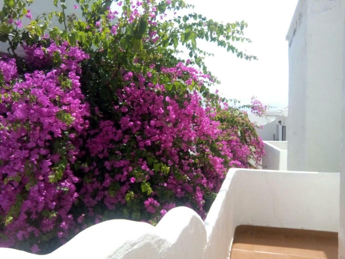 Apartamento Faro De Sardina Gáldar エクステリア 写真